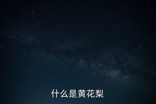 什么是黄花梨