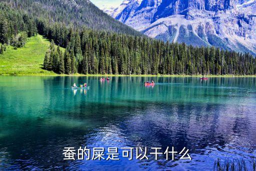 蚕粪，蚕屎有何妙用