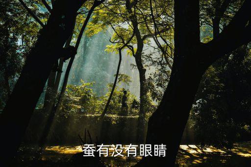 蚕有没有眼睛