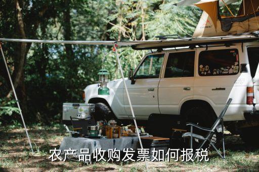 农产品收购发票如何报税