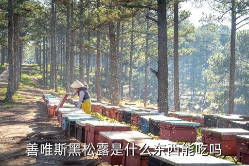 黑松露是什么东西，善唯斯黑松露是什么东西能吃吗