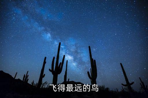 飞得最远的鸟