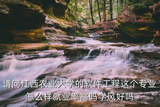 江西农业大学软件工程怎么样，江西农大软件工程学院里学风好吗