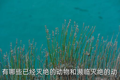 灭绝的动物有哪些，有哪些濒临灭绝的野生动物