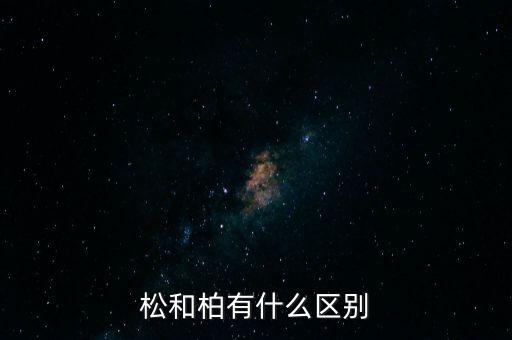 松和柏有什么区别