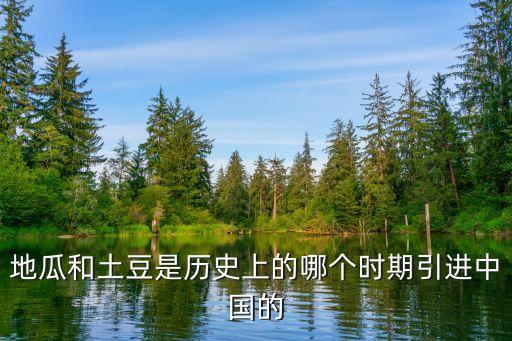 土豆是什么时候传入中国的，土豆是谁带入中国的
