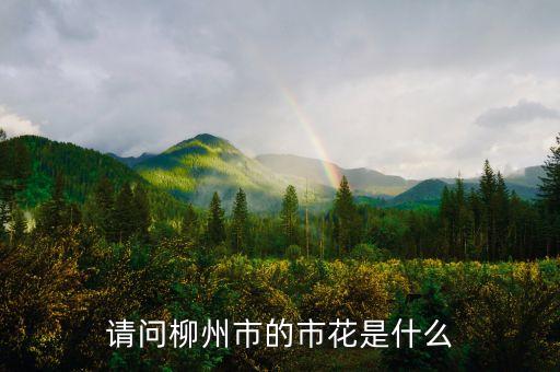 柳州市花，木兰花什么时候开花广西有没有柳州市的市花是什么