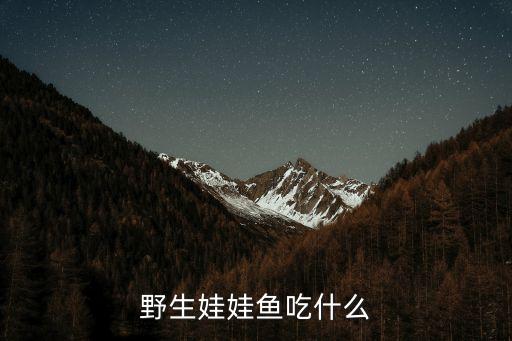 野生娃娃鱼，野生娃娃鱼怎么养要喂它吃什么