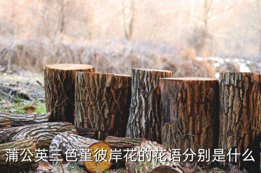蒲公英三色堇彼岸花的花语分别是什么