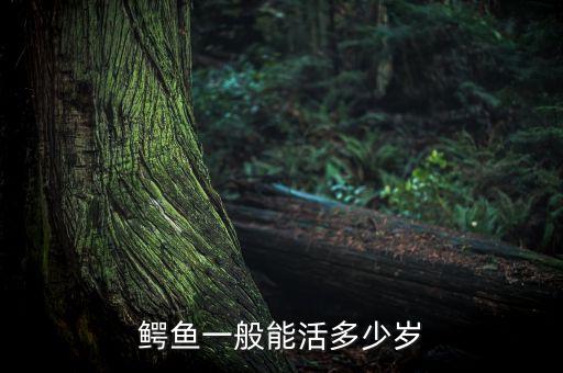 鳄鱼一般能活多少岁