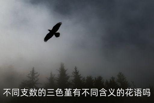 三色堇图片，蒲公英三色堇彼岸花的花语分别是什么