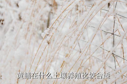 黄鳝在什么土壤养殖比较合适