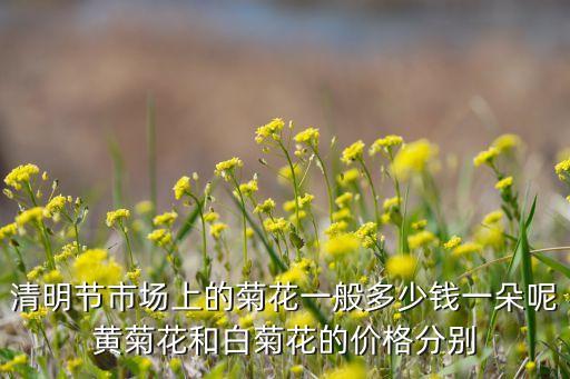 清明节市场上的菊花一般多少钱一朵呢黄菊花和白菊花的价格分别