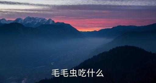 毛毛虫吃什么食物，毛毛虫吃什么