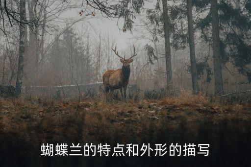 蝴蝶兰的介绍，蝴蝶兰是什么