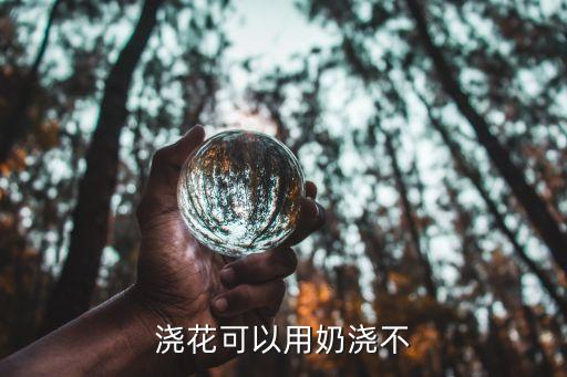 牛奶能浇花吗，牛奶能浇花吗