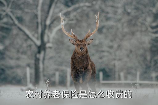 阳光农业保险怎么收取，阳光农业保险按亩收费按总面积理赔合理吗