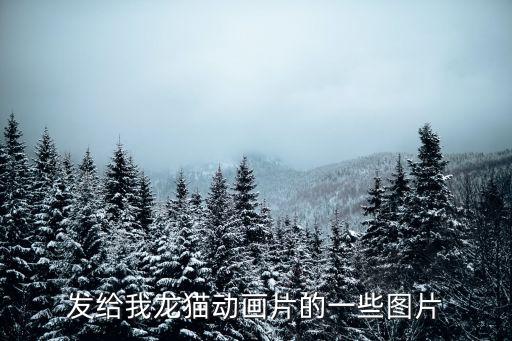龙猫宫崎骏图片，宫崎峻中龙猫的高像素照片