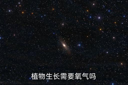 植物生长需要氧气吗