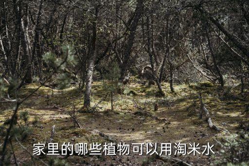 淘米水适合浇什么花，家里的哪些植物可以用淘米水