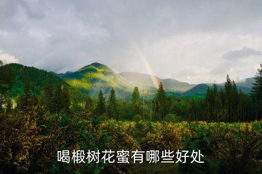 喝椴树花蜜有哪些好处