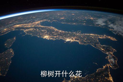 柳树开什么花