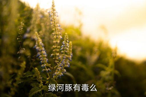 绿河豚有毒么