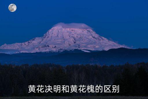 黄花决明，黄花决明和黄花槐的区别
