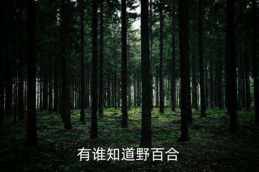 野百合花，野百合花代表什么