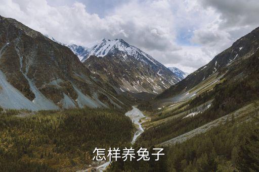 怎么养兔子，怎样养兔子