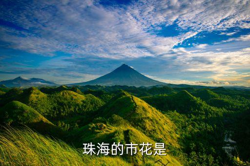 珠海的市花是