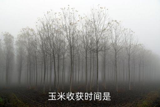 玉米什么时候收获，什么时候摘玉米