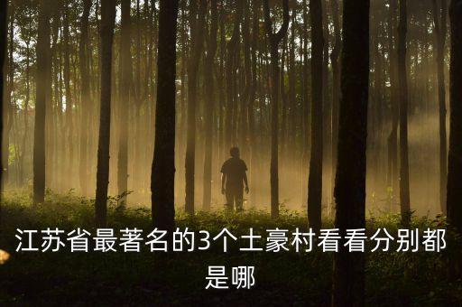 江苏省最著名的3个土豪村看看分别都是哪