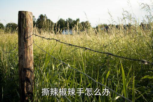 辣椒辣手，辣椒辣到手了怎么办
