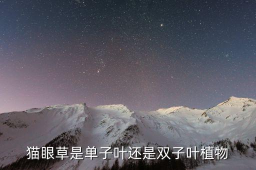 猫眼草，这是什么植物