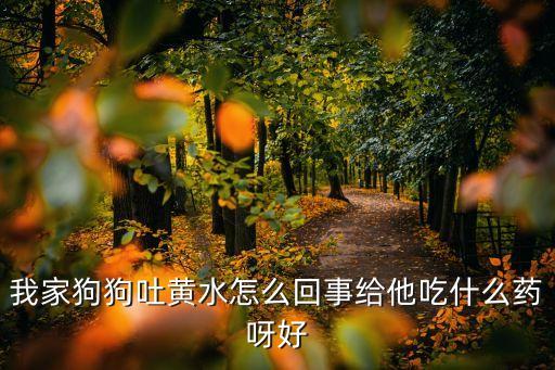 狗狗呕吐黄水泡沫粘液吃什么药，小狗生病了不吃食吐黄色粘液要是不输液该吃什么药