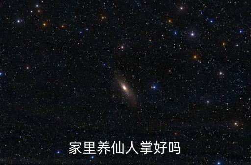 家里养仙人掌好吗