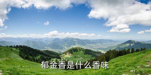 郁金香是什么香味