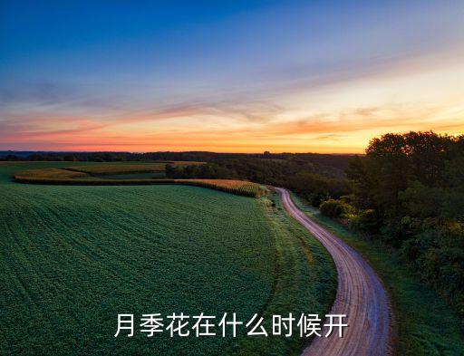 月季花几月份开花，月季是什么时候开花