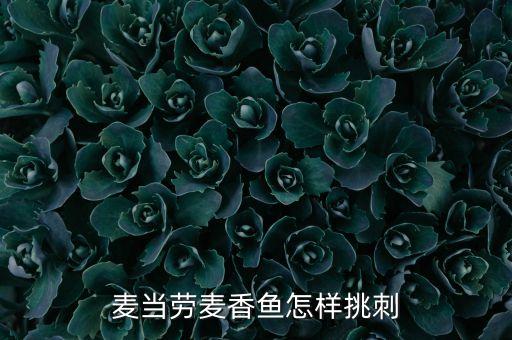 麦香鱼，麦香鱼炸制时间