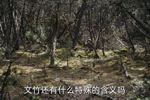 文竹的寓意，文竹象征着什么