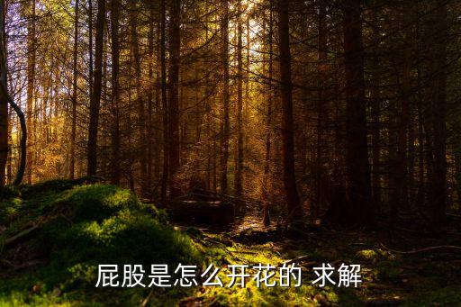 屁股是怎么开花的 求解