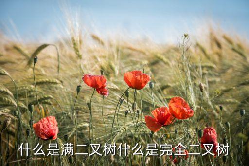 什么是满二叉树什么是完全二叉树