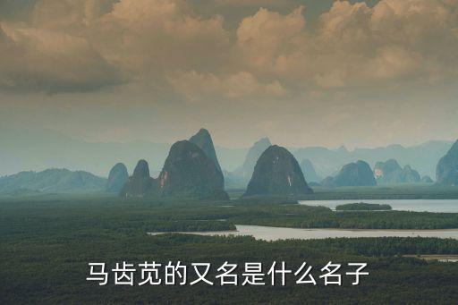 马齿苋的又名是什么名子