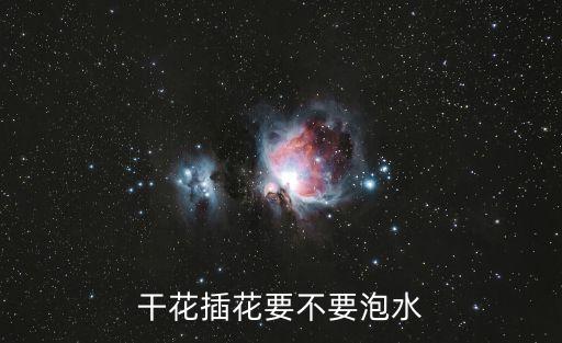 干花插花，干花插花要不要泡水