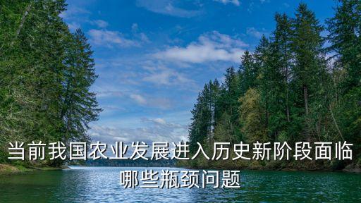当前我国农业发展进入历史新阶段面临哪些瓶颈问题