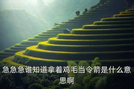 急急急谁知道拿着鸡毛当令箭是什么意思啊