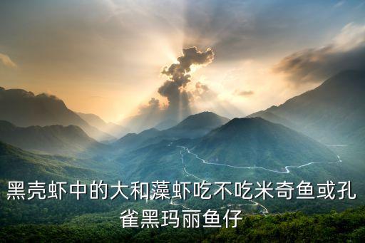 黑壳虾吃小鱼吗，黑壳虾中的大和藻虾吃不吃米奇鱼或孔雀黑玛丽鱼仔