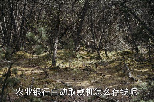 农业银行自动取款机怎么存钱呢
