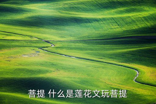 菩提 什么是莲花文玩菩提